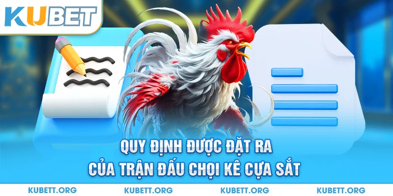Quy định được đặt ra của trận đấu chọi kê cựa sắt