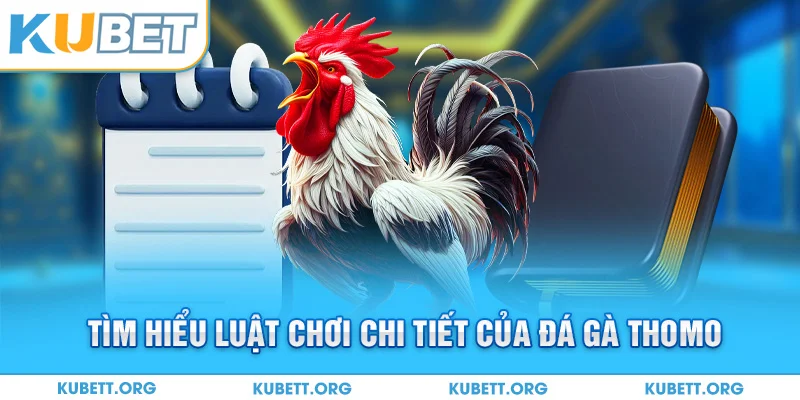 Tìm hiểu luật chơi chi tiết của đá gà Thomo